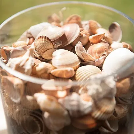 Apartament Natasa Chrani