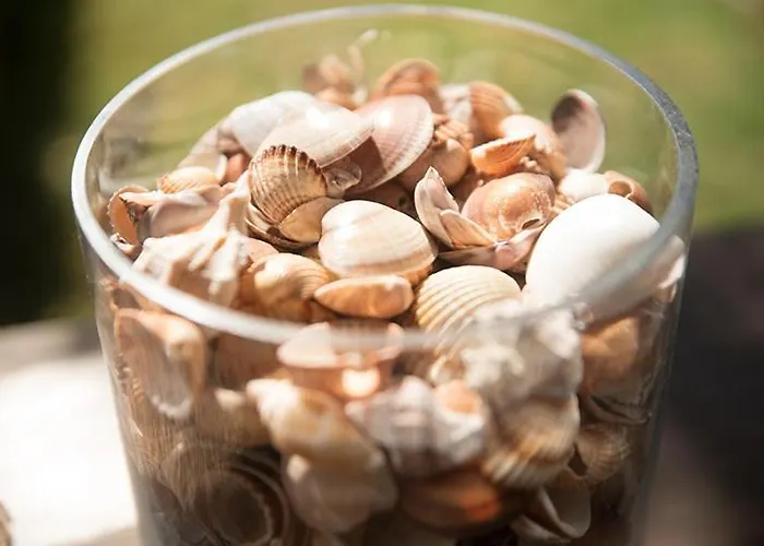 アパート Natasa チラニ